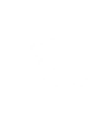 Lo Scarabeo